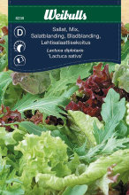 Salatblanding 'Baby Leaf'